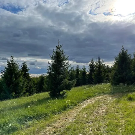 Luxury tent Restu Forrest Glamp