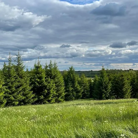 Restu Forrest Glamp *