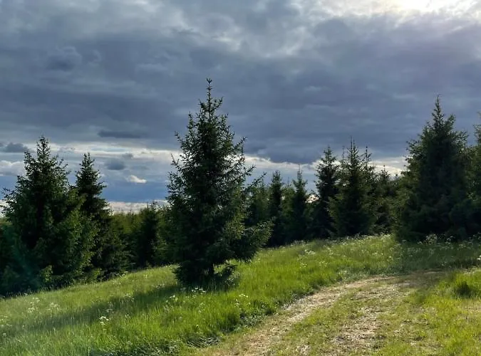 Campo de lujo Restu Forrest Glamp