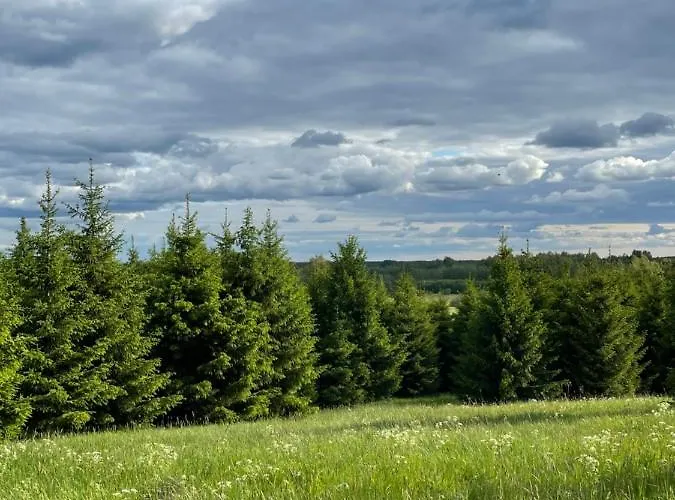 Restu Forrest Glamp *